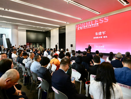 “无相”—童雁汝南作品展深圳美术馆开幕