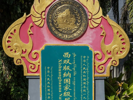 美丽云南|西双版纳热带花卉王国迷人风光 心旷神怡