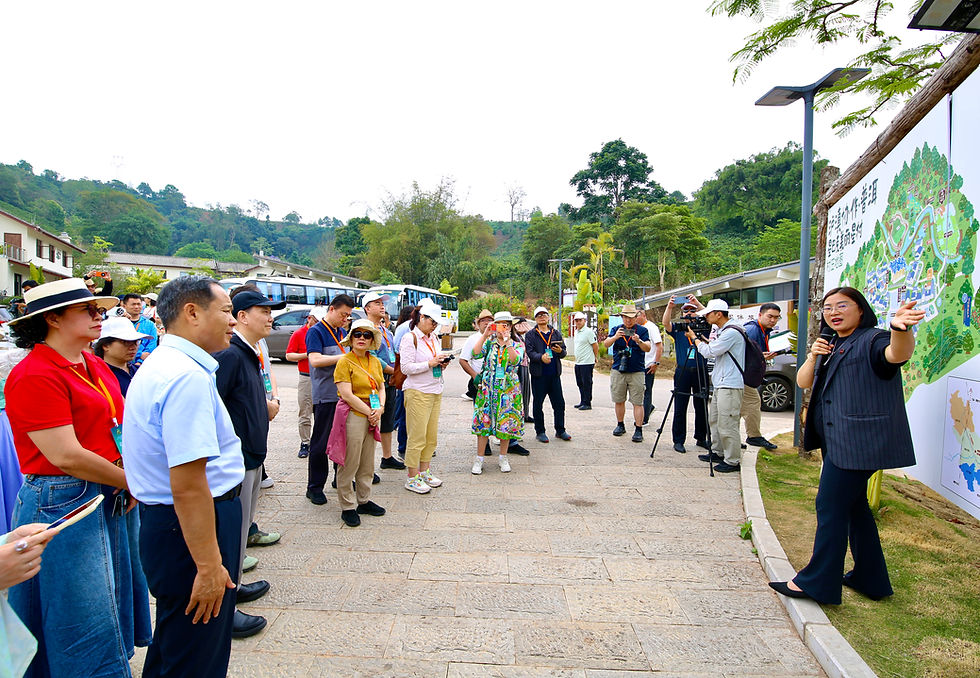 海外媒体走进普洱丨聚焦“有风咖谷”乡村振兴独特韵味
