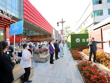 侨见辽宁行｜沈阳方城文化旅游区：一城承千年文脉 古方城焕发振兴新颜