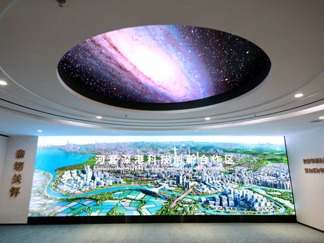 2024世界華文媒體社長總編輯深圳行|探河套登高樓觀生態 大灣區科創生機勃勃