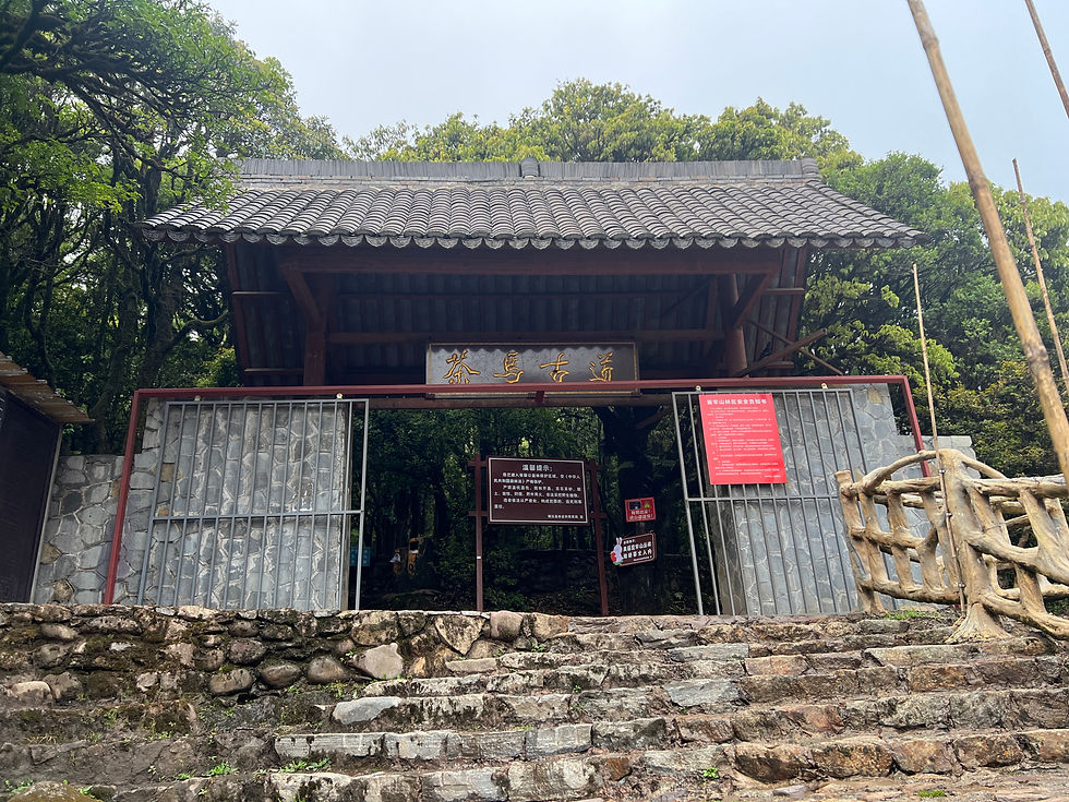 海外媒体探秘哀牢山丨一缕雾气 自然传奇 人文历史