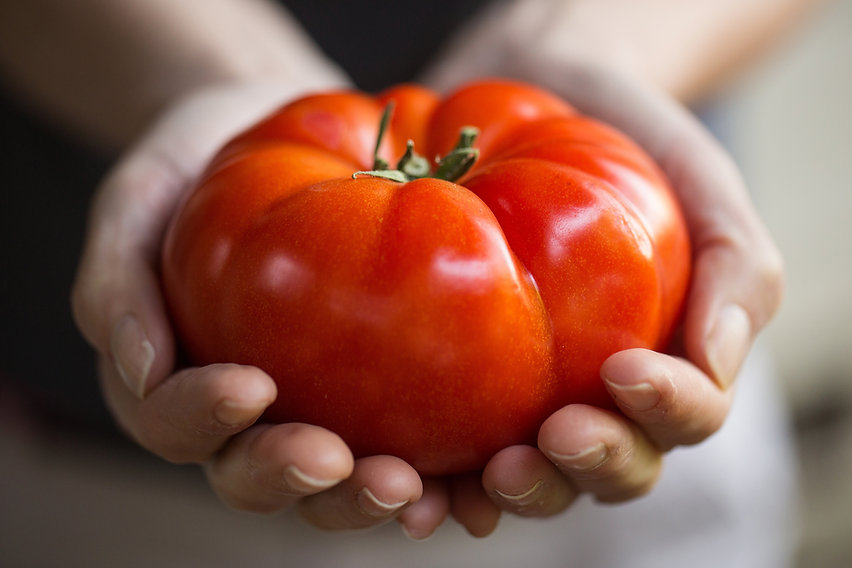 Fresh tomato