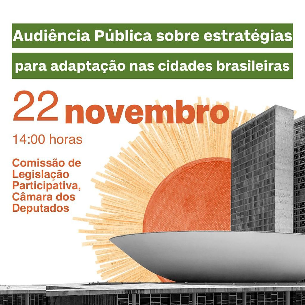 Audiência pública sobre estratégias para adaptação nas cidades brasileiras