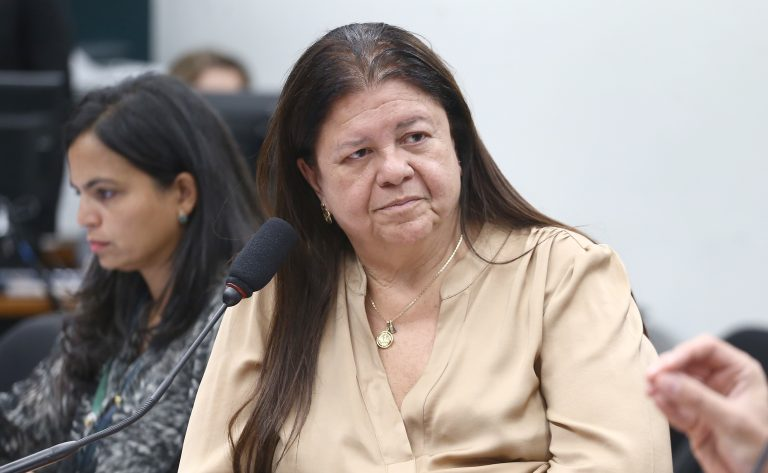 Laura Carneiro é a relatora do projeto