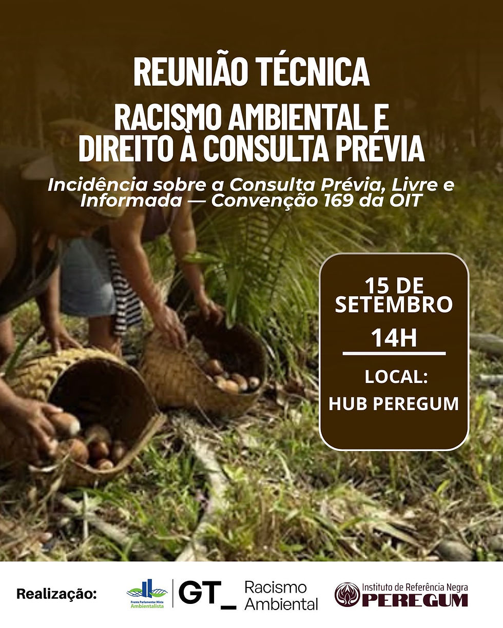 Reunião Técnica