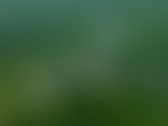 CMA analisa uso de arrecadação do petróleo para proteção da Amazônia