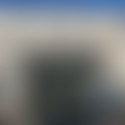 税関職員を収賄容疑で拘束 現金5000万トゥグルグ受領中