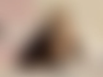 マザーライに追跡装置 保護へ生態調査