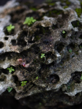 DIAS DE LUNA_PUNTO CIEGO-20.jpg