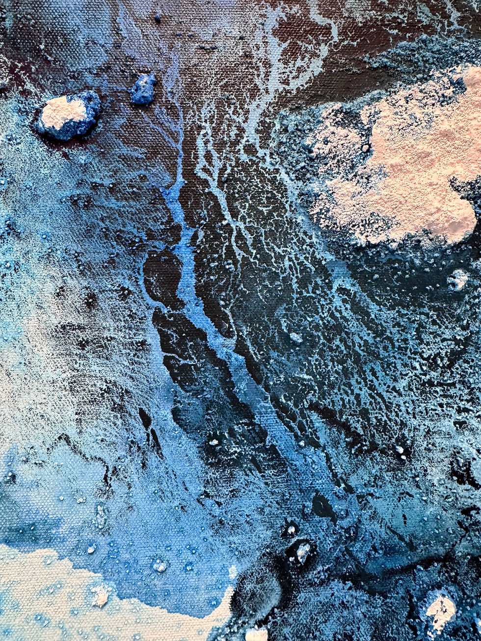 Miniatura: The last ice