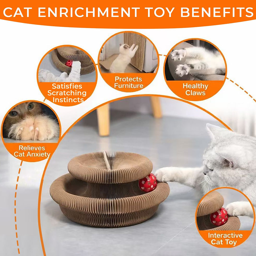 Thumbnail: 2PCS Kitty Curls Cat Toy - Foldable Accordion Cat Scratcher withBall 