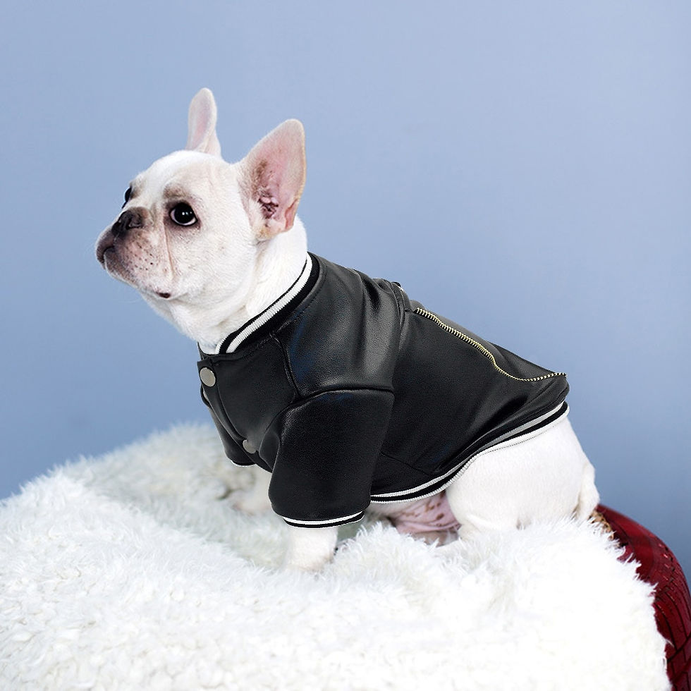 Thumbnail: French Bulldog Dog Clothes Pug Pet Clothes Winter