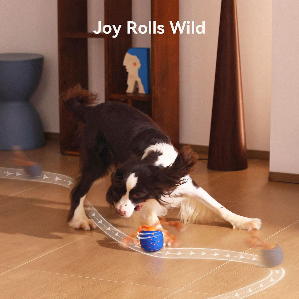 Thumbnail: Cheerble Interactive Dog Toy, for Medium to Large Dogs
