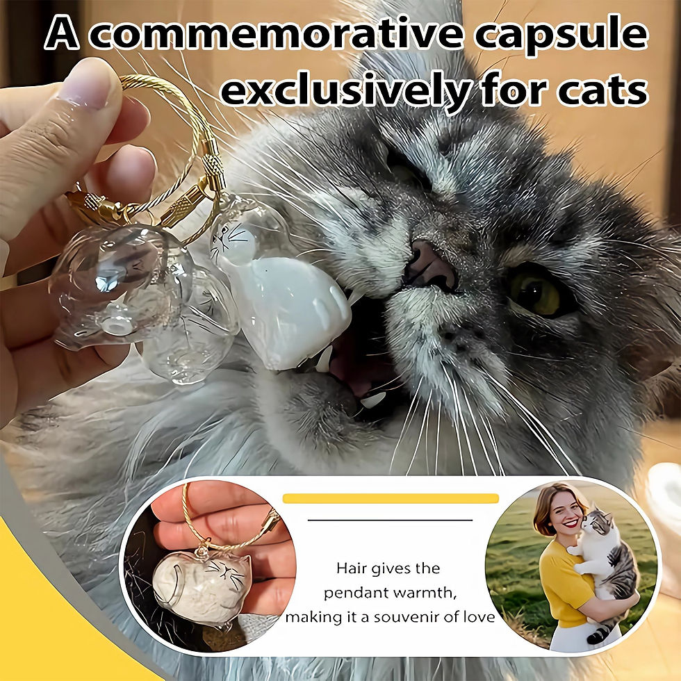 Thumbnail: 6-Piece Cat Hair Memorial Pendant Set - Pet Keepsake: Soft Fur Capsule 