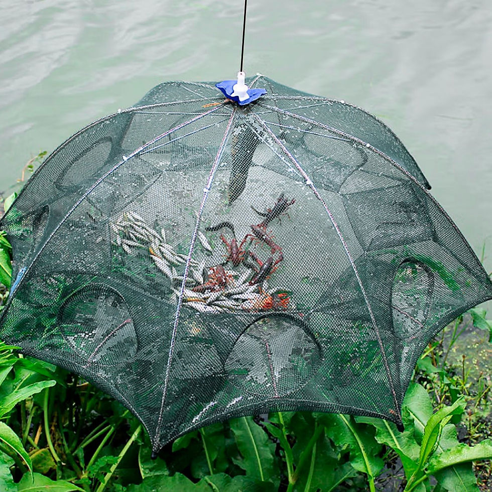 Thumbnail: 2Pcs Foldable Fishing Bait Nets Trap Crab Net Shrimp Fish Cast Dip Cage