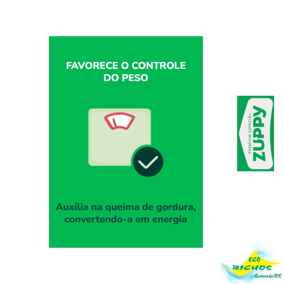 Miniatura: Zuppy Cães Adultos Pequeno Porte sabor Frango 1Kg
