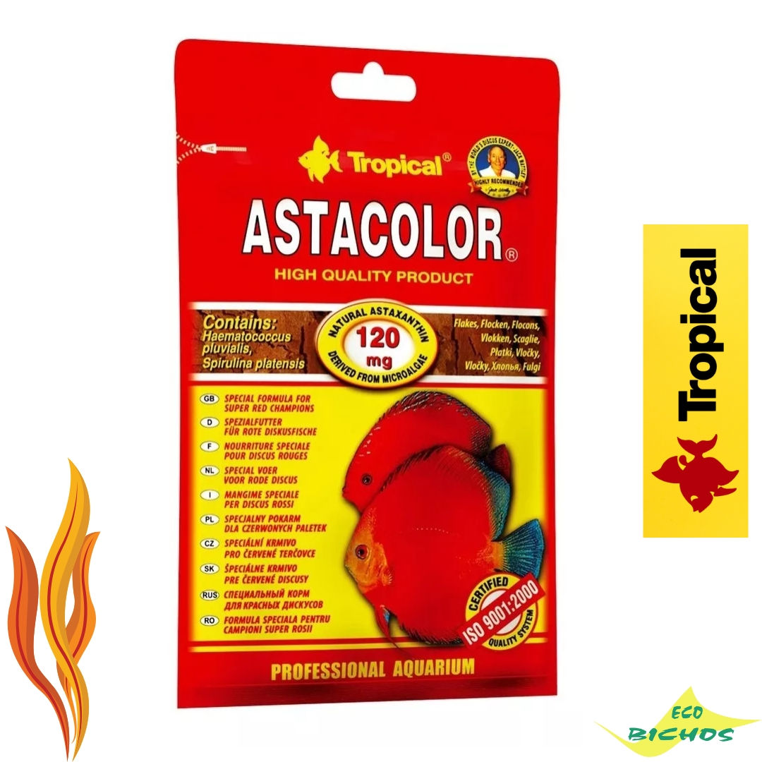 Astacolor Sachet 12g