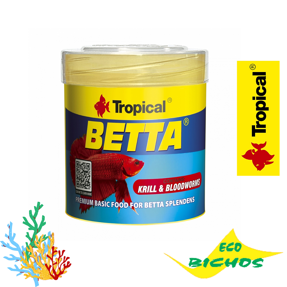 Betta Flakes 15G+20% GRATIS 18G