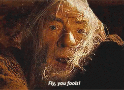 Gandalf has just battled with the Balrog, as he falls into darkness he shouts "Fly, you fools!"