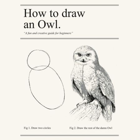 Draw the Owl meme