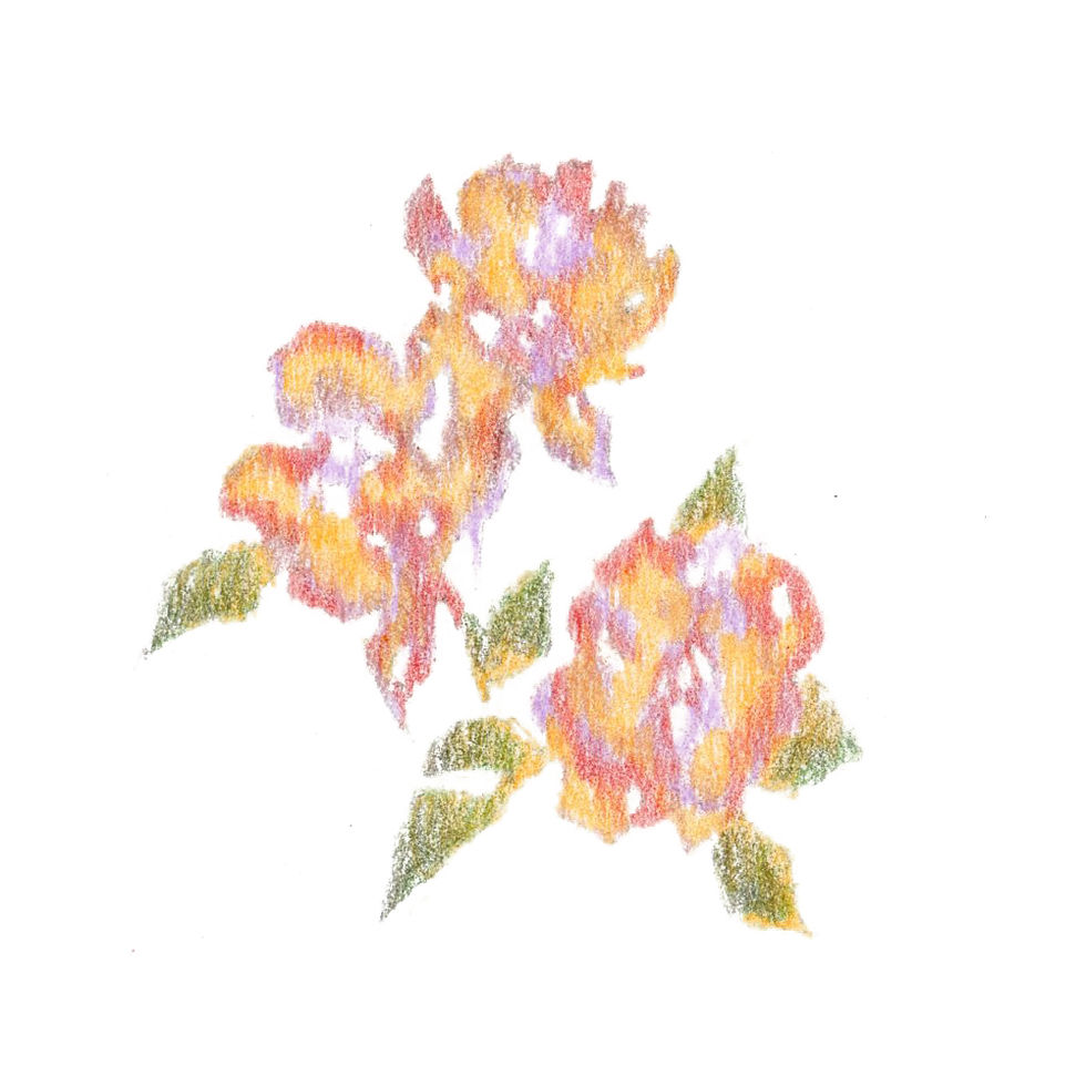 study On the basis of watercolor