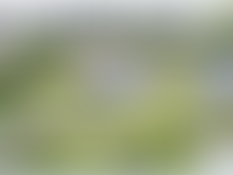 SDGs と言いながら、