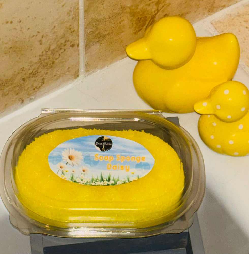Thumbnail: Soap Sponge’s 150g