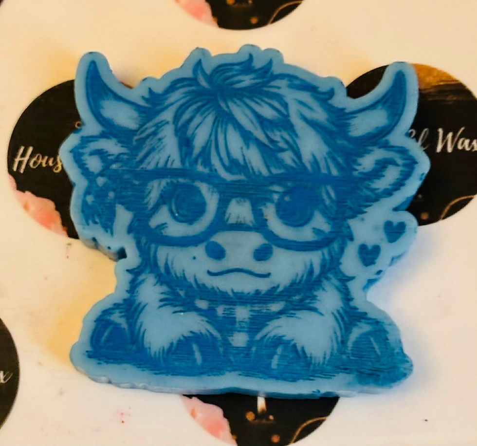Thumbnail: Highland Cow With Glasses