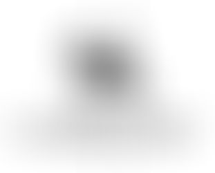 Elevate Your Images: Professional Photography Services Available Now