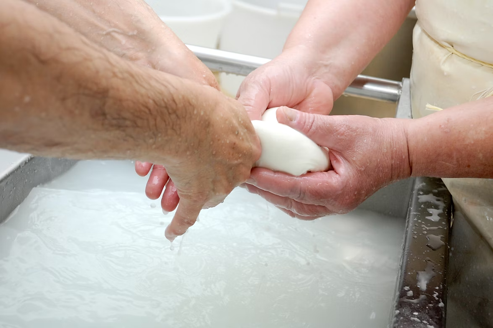 home care services in Kennewick, WA