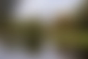 The Green Side of London