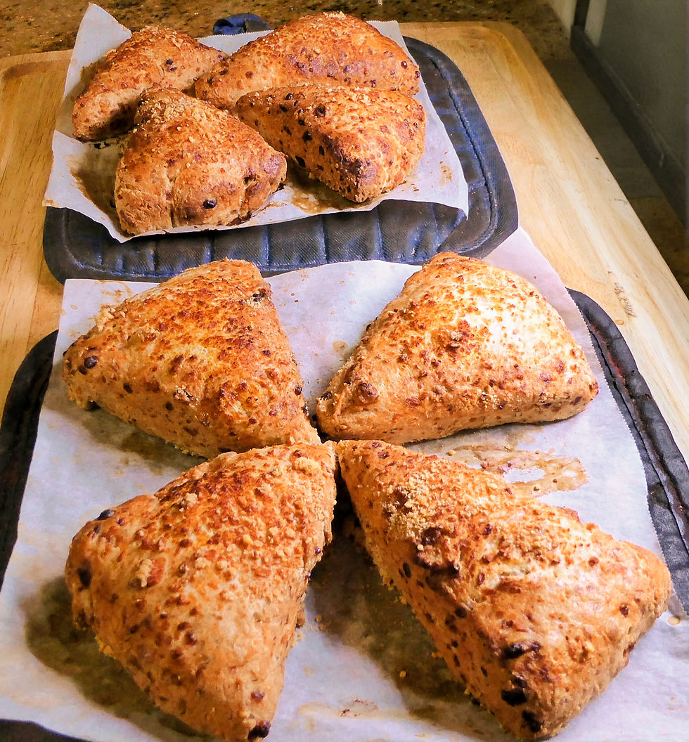 How to Make Easy Dill and Parmesan Cottage Cheese Scones (No Butter, Diabetic Friendly, Air Fryer or Oven)