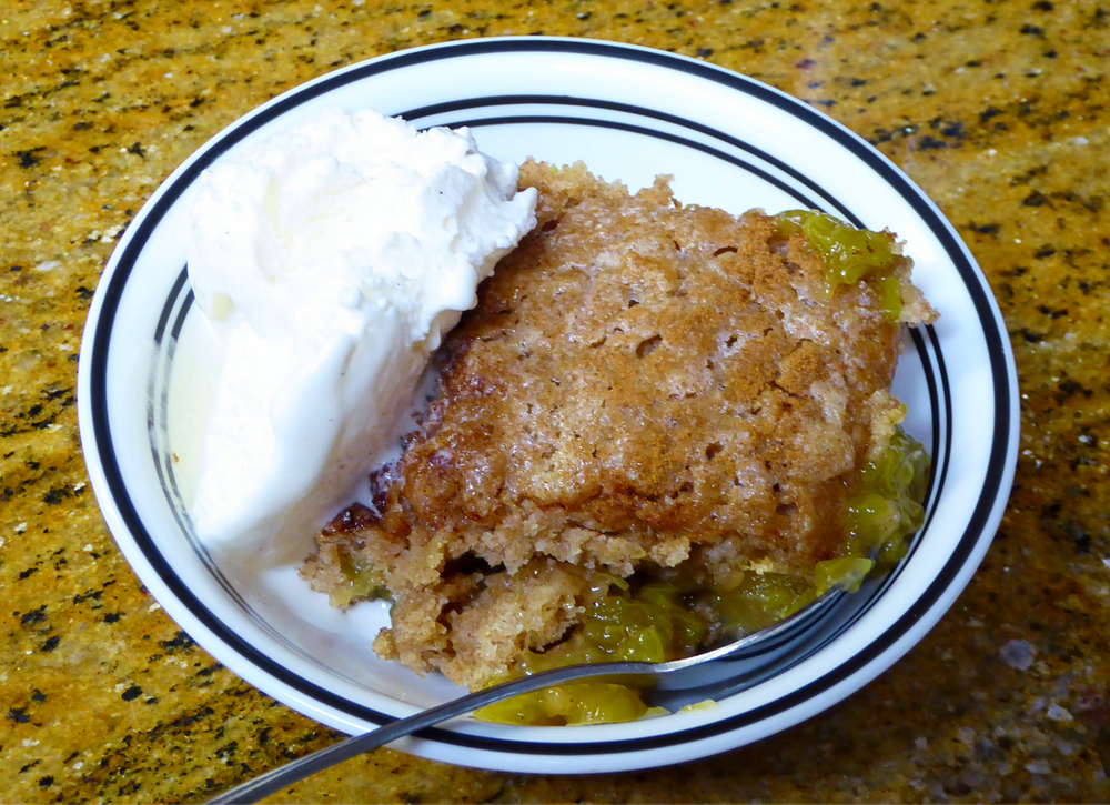 Sourdough Rhubarb (or Cherry) Dumpling Cake