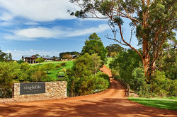 singlefile-wines-cellar