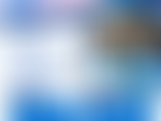 Join The Executive Track