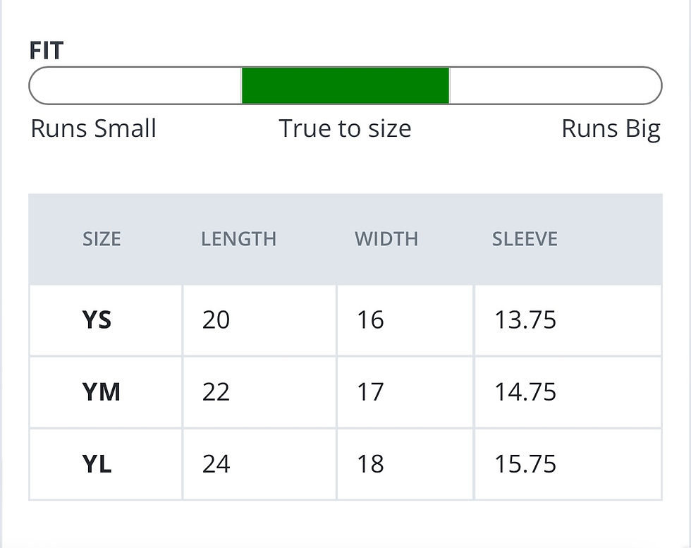 Thumbnail: STS 2025 T-Shirt