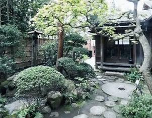 jardin japonais thé_edited.jpg