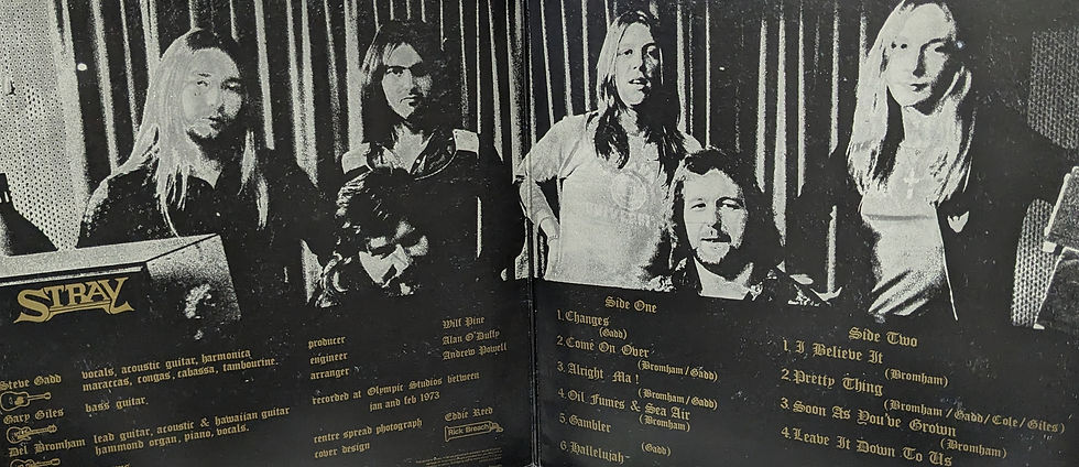 サムネイル： STRAY/MUDANZAS 1973'UK TRANSATLANTIC