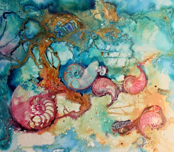 Dianne Ogg - Nautilus.jpeg