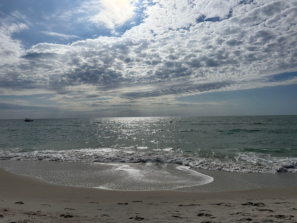Embracing the Journey of Change in Therapy