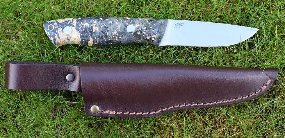 Thumbnail: Sable Special Edition