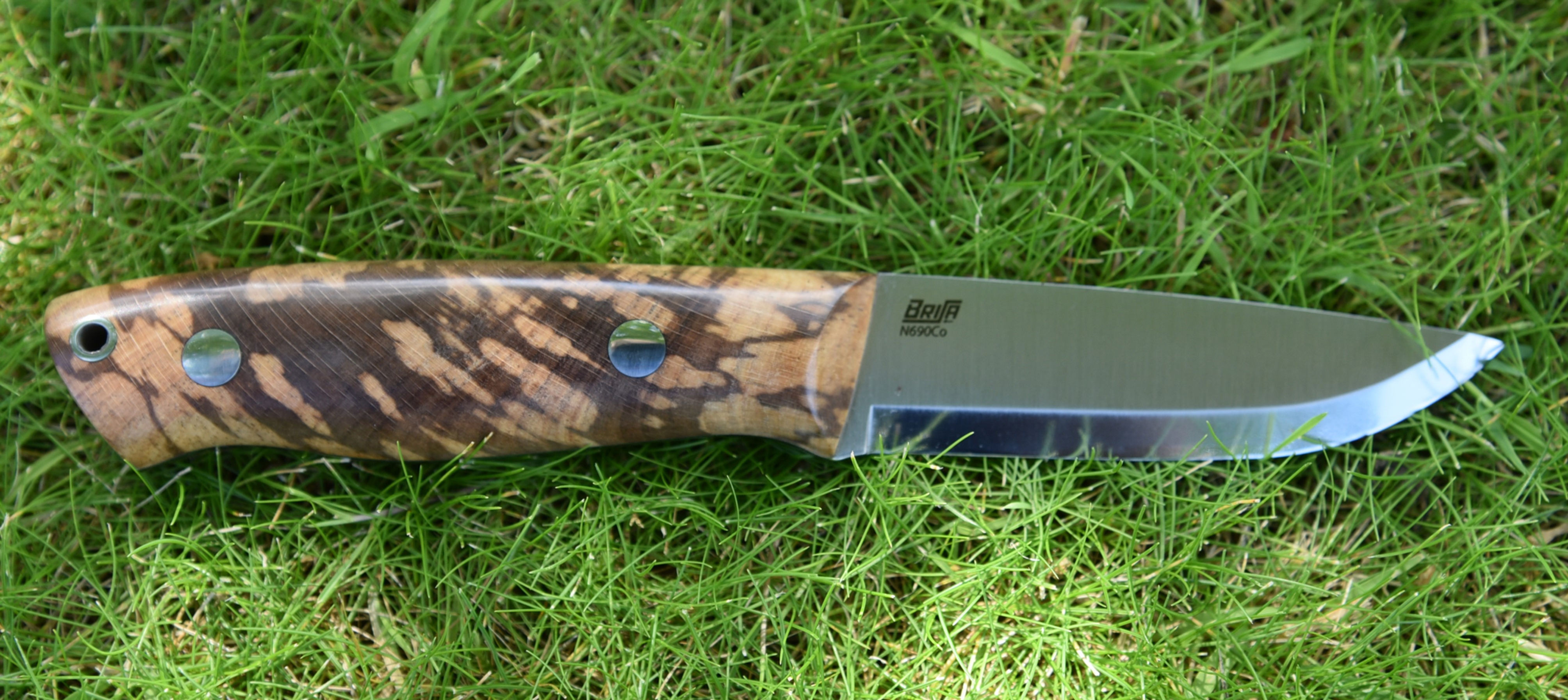 Sable Special Edition