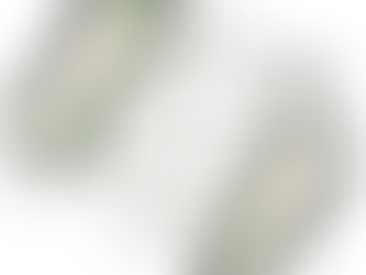 Why your calm matters more than your words