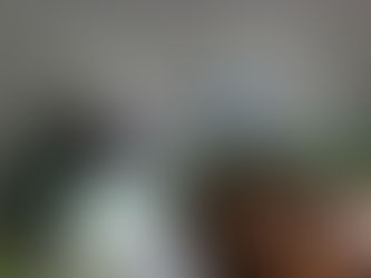 Проведення профілактичних заходів