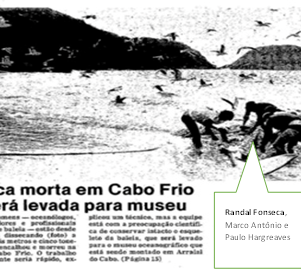 Os repórteres do jornal O Globo vieram a Arraial do Cabo para saber mais sobre a orca morta.