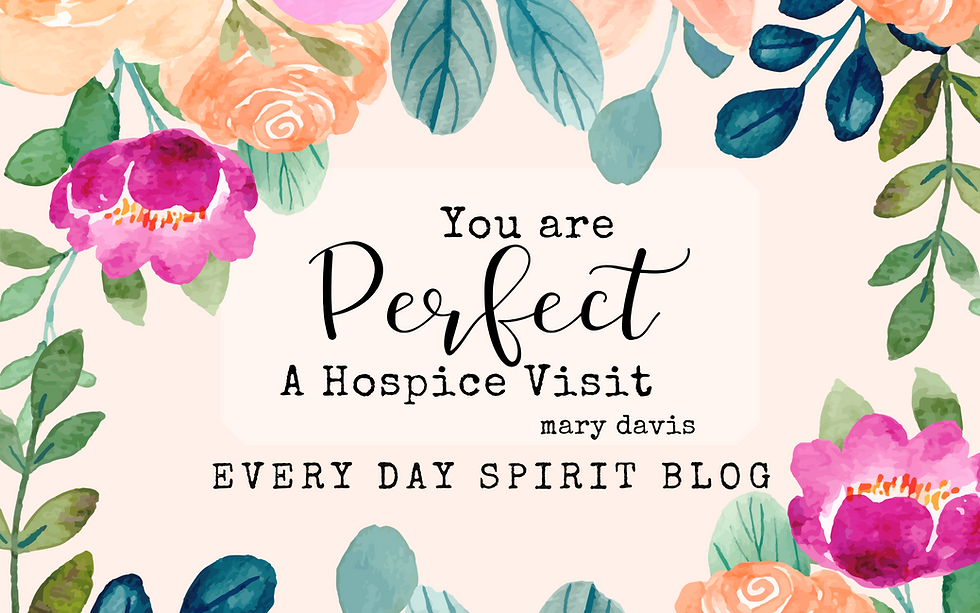 You Are Perfect: A Hospice Visit