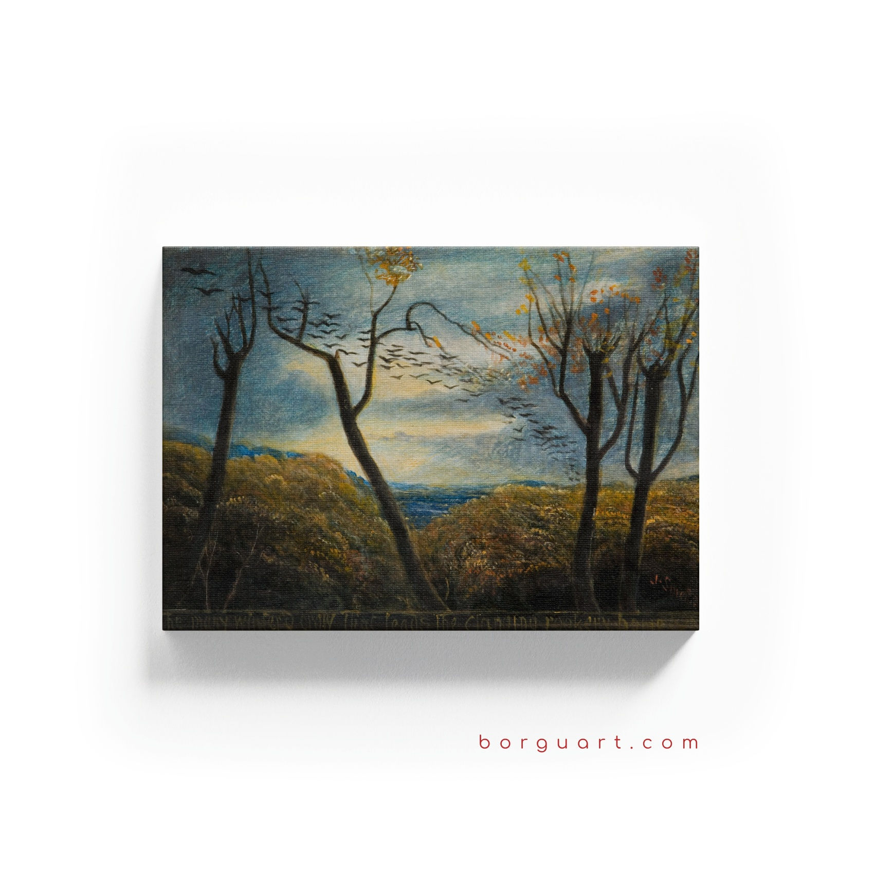 Spring in the Forest