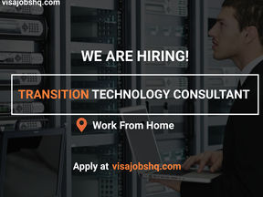 HIRING NOW FOR A TRANSITION TECHNOLOGY CONSULTANT, WORK IS REMOTE
