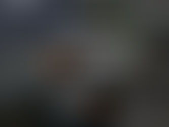 HIRING NOW FOR A CORPORATE CONTROLLER, WORK FROM HOME